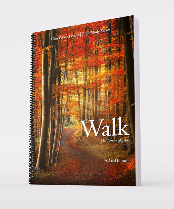 Walk: The Letters of John Bible Study