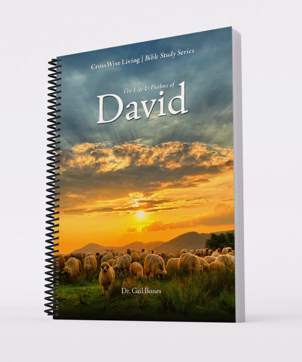 The Life & Psalms of David Bible Study
