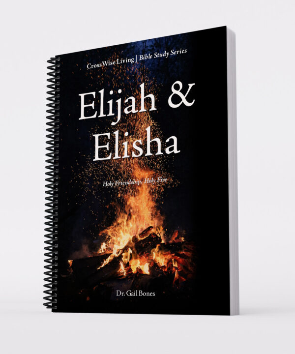 Elijah & Elisha: Holy Friendship, Holy Fire