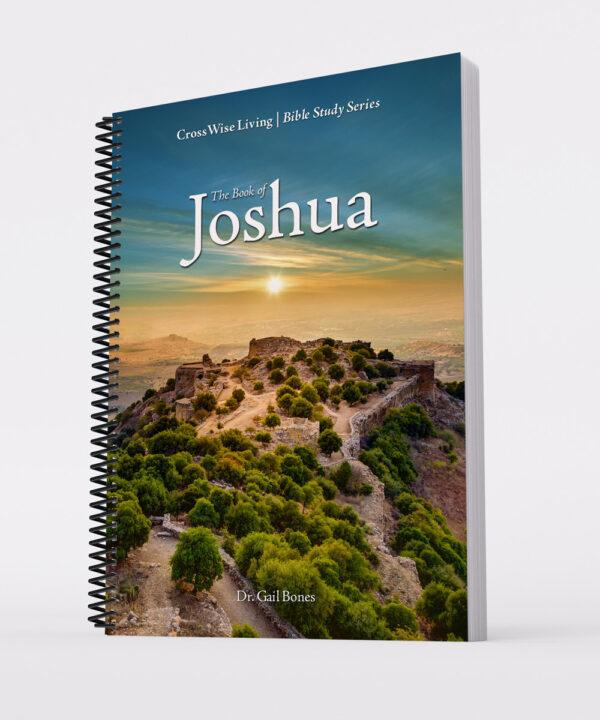 The Book of Joshua Bible Study