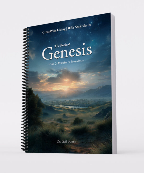 The Book of Genesis Part 2: Promise to Providence
